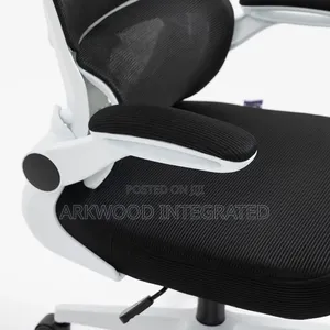 Ergonomic Mesh Fabric Computer Height Adjustable Chair