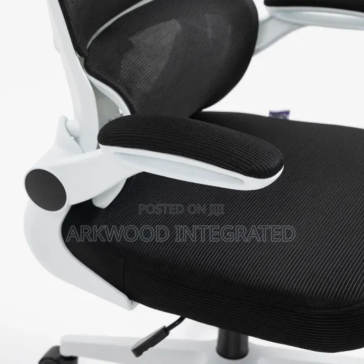 Ergonomic Mesh Fabric Computer Height Adjustable Chair