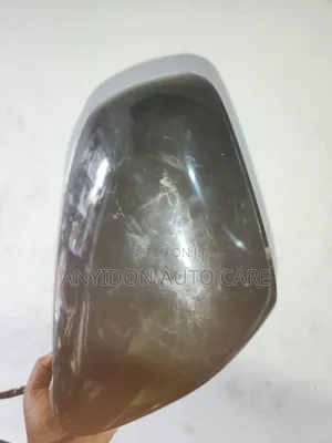 Lexus Rx350 2010 Autofold Mirror