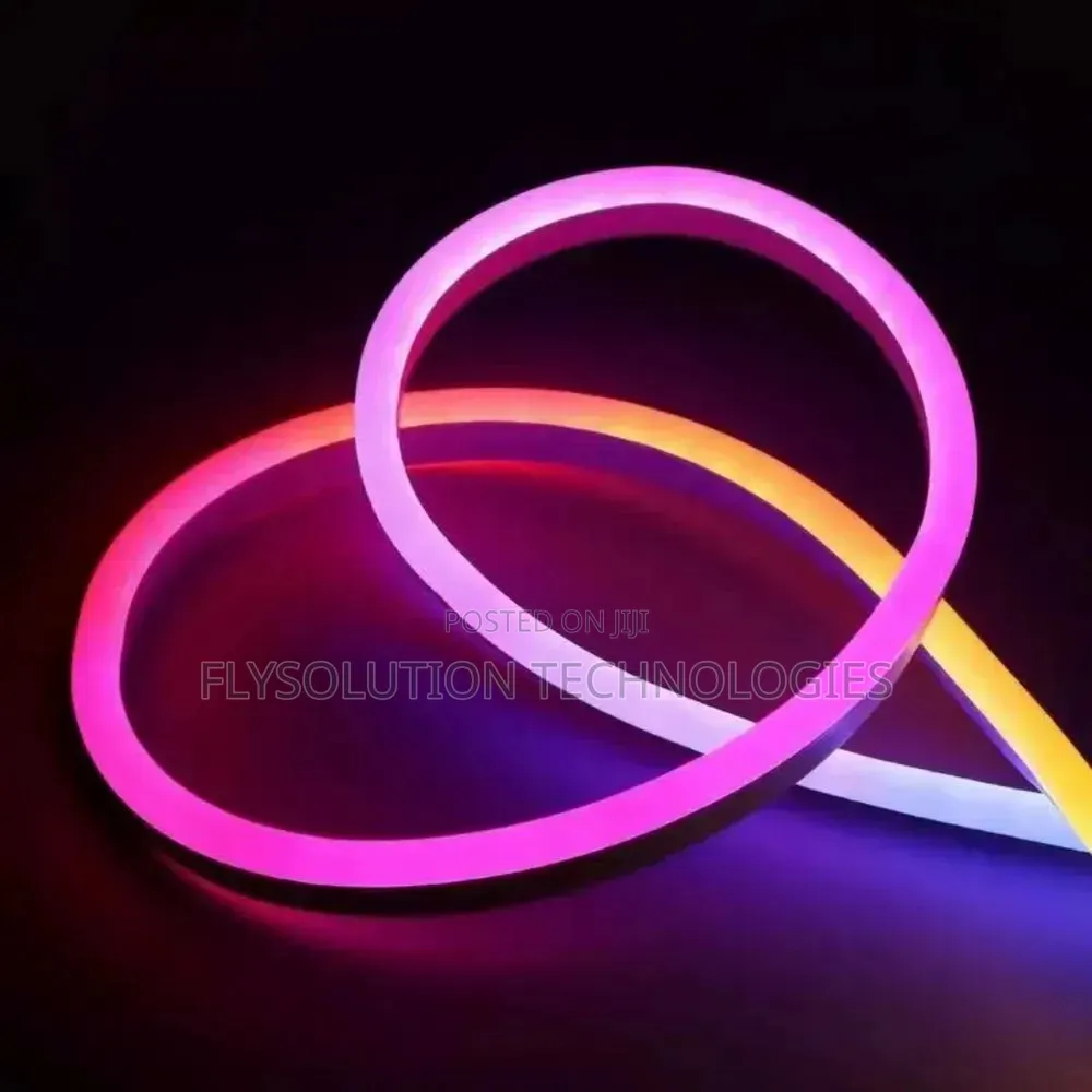 Smart Neon Rope Strip Light Remote and Mobile App Controlled