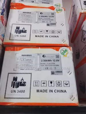 2.5kwh 12v Ion Lithium Battery