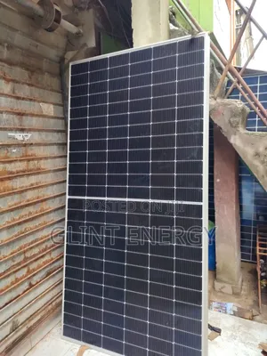 610w Bluesun Biafacial Solar Panels
