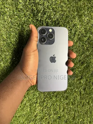 Apple iPhone 14 Pro Max 256 GB Gray