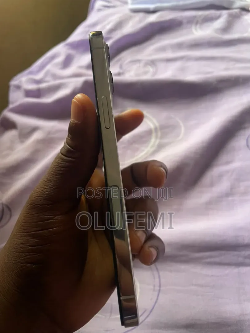 Apple iPhone 12 Pro Max 128 GB Silver