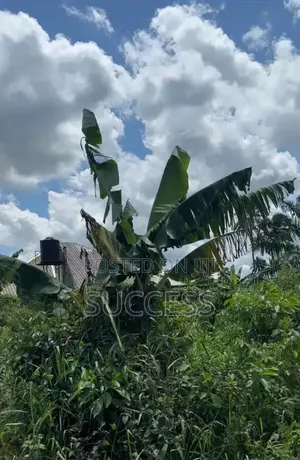 Tle City Estate – 465 Sqm Plot | Prime Land In Uyo, Akwa Ibom
