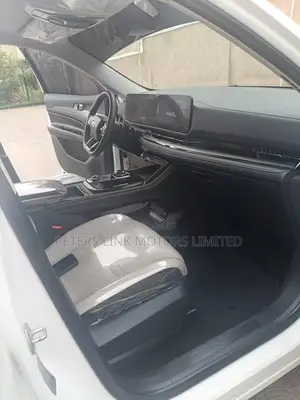 New Ford Territory 2024 White