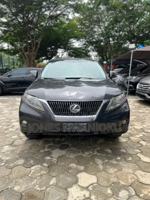 Lexus RX 350 2010 Gray