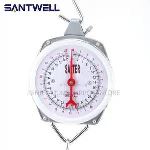 Industrial Mechanical Hanging Spring Dial Scale-100kg
