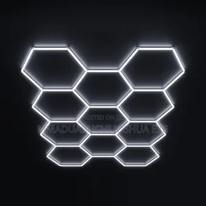 Standard Ceiling Light
