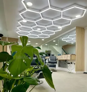 Standard Ceiling Light