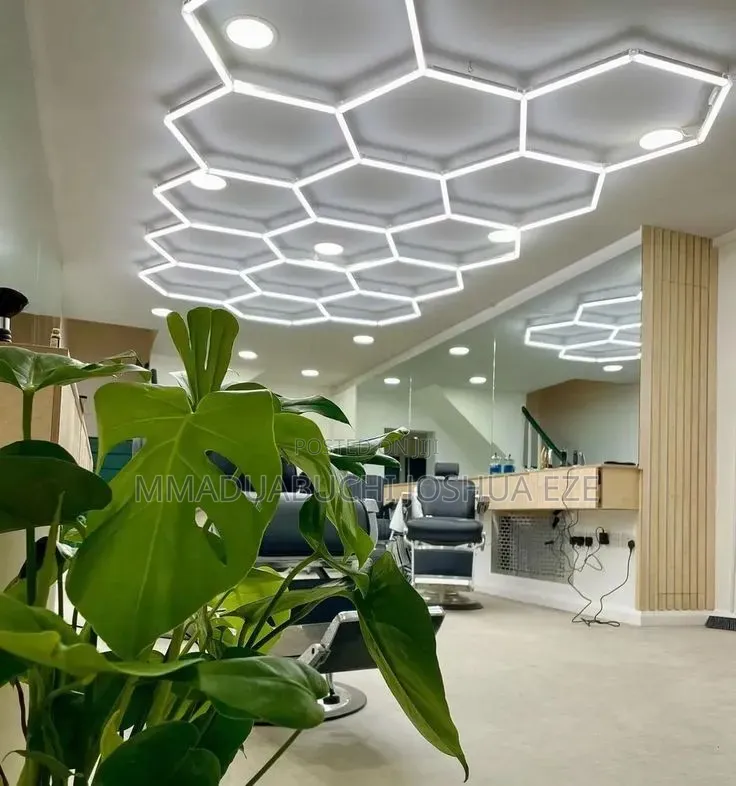 Standard Ceiling Light