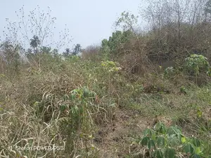 Plots of Land for Sale