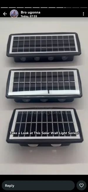 Standard Solar Wall Light
