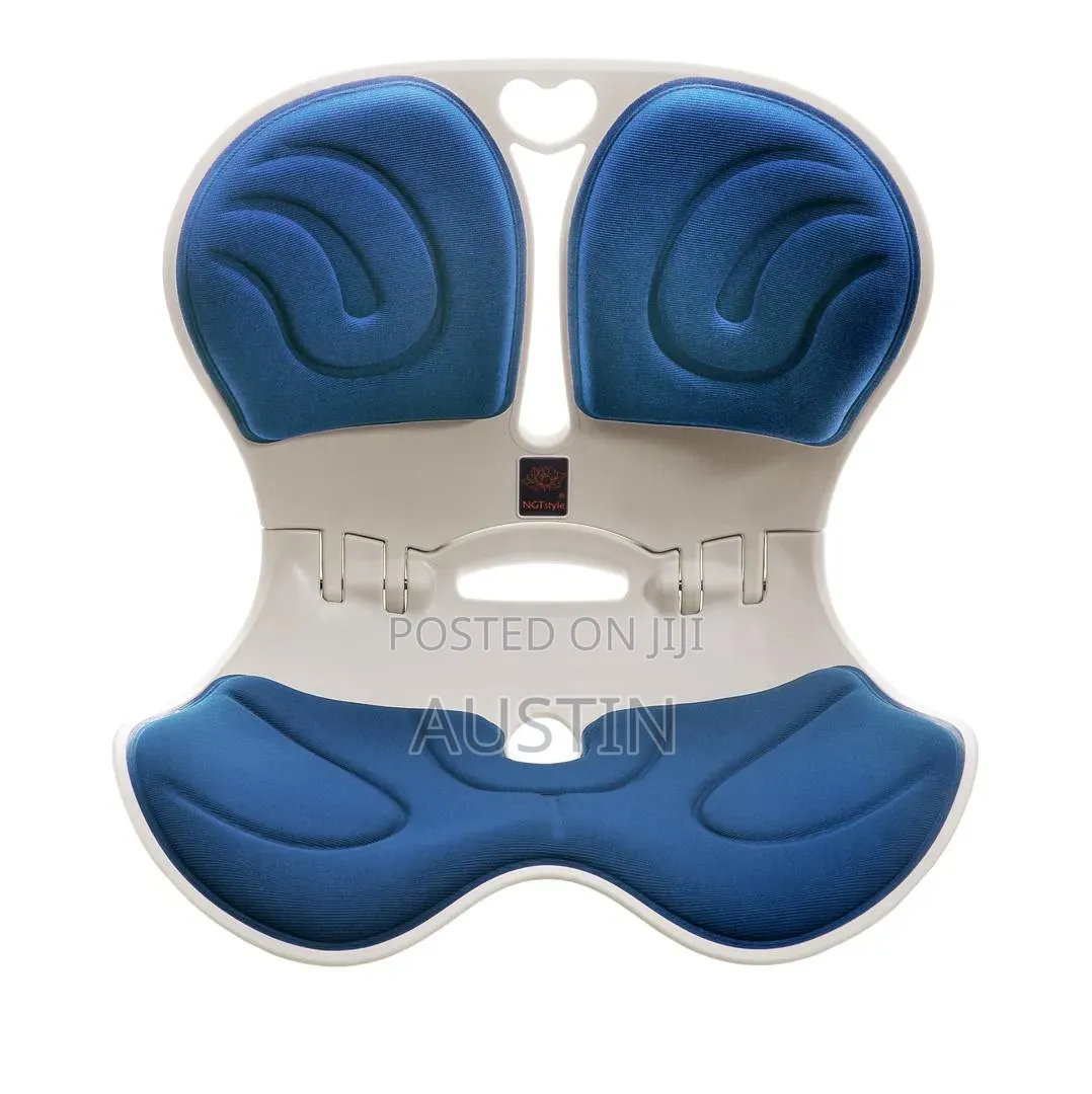 Posture Chair for Best Siting