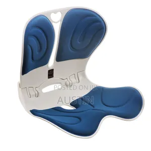 Posture Chair for Best Siting