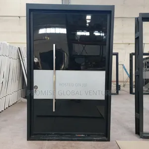5ft Pivot Door