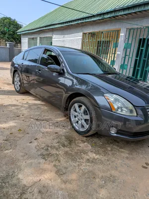 Nissan Maxima SE 2006 Gray