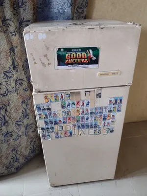 Fridge And Water Dispenser