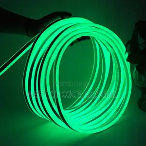 Neon Rop Light Per Meter