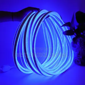 Neon Rop Light Per Meter