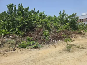Buy and Build Within an Estate