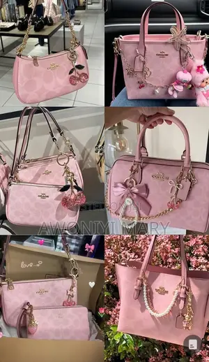 Coach Affordable Bags