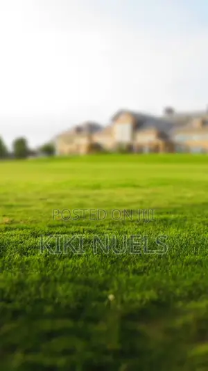 Prime Land For Sale In Gaduwa