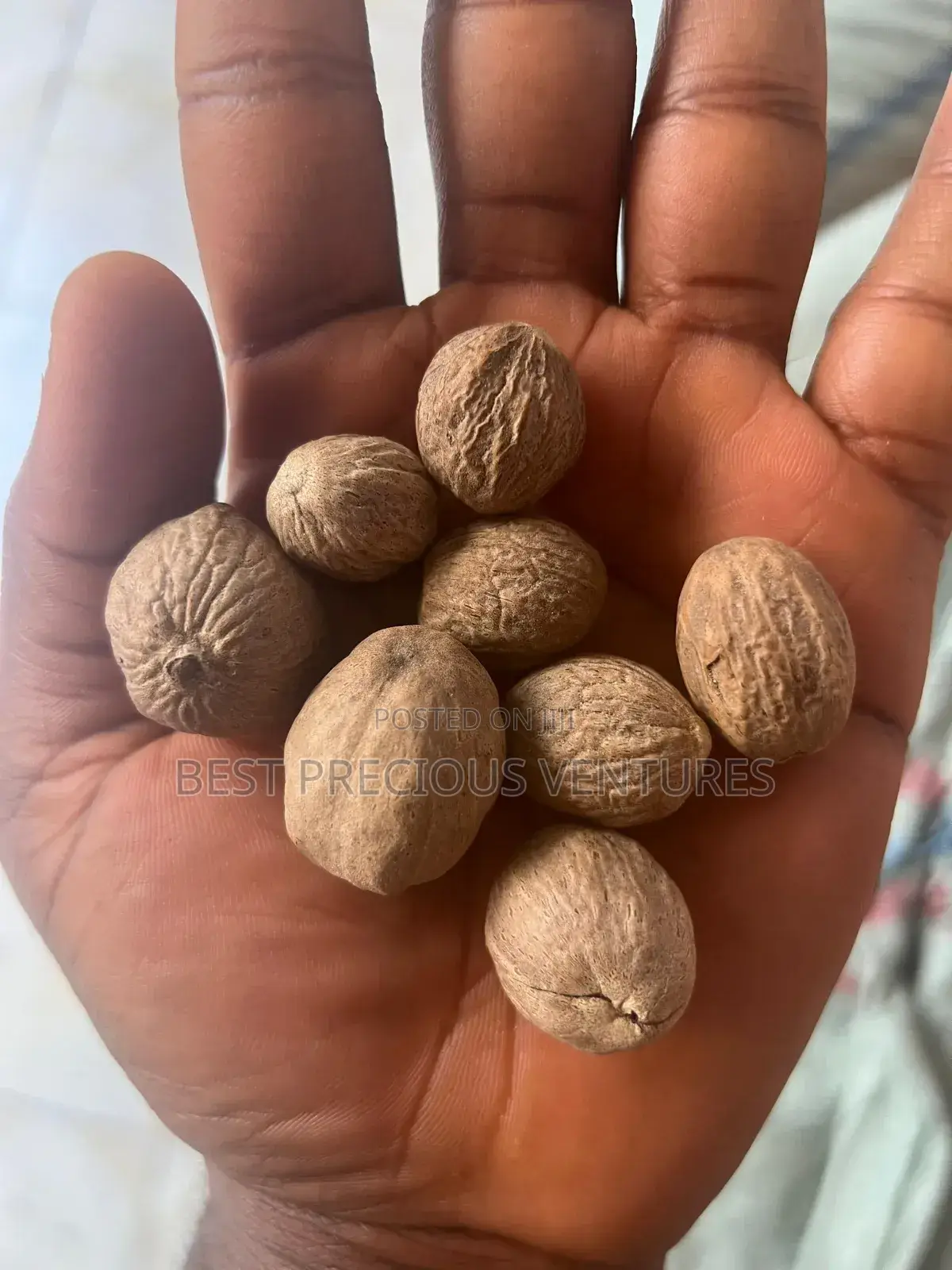 Nutmeg Seeds