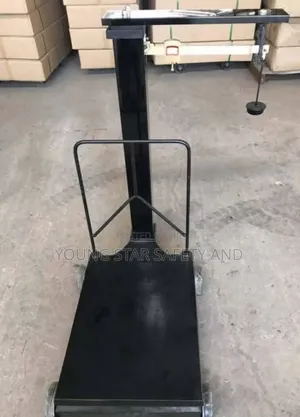 Motor King Scale