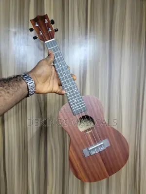 Professional Ukulele Instrument