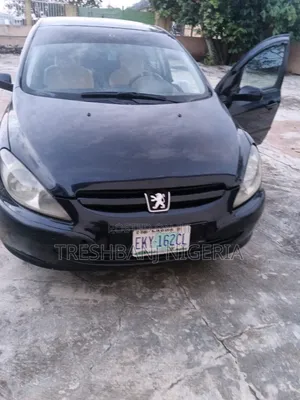 Peugeot 307 2.0 2001 Black