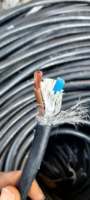 4mm 2core Shielded Cable