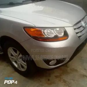 Hyundai Santa Fe 2010 Silver