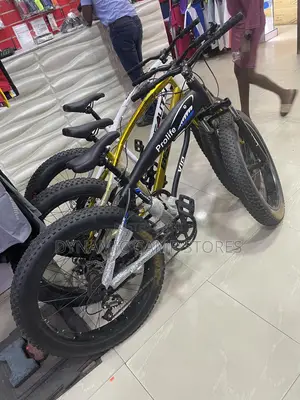 Bicycle Fat Tire and Foldable Fat Tire