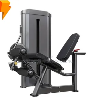 Commercial-Grade Leg Curl and Extension Machine