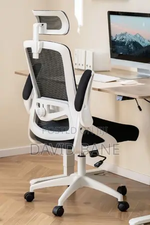 Ergonomic Chair