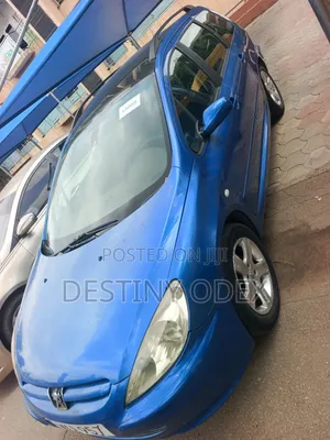 Peugeot 307 1.6 Grand Filou Cool 2008 Brown