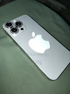 Apple iPhone 15 Pro Max 512 GB Silver