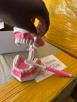 Willy Dental Mart