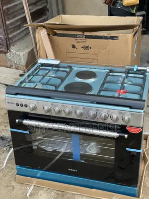 Maxi Standing Gas 60*90 4 Gas 2 Electric