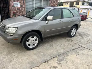 Lexus RX 2002 Gray