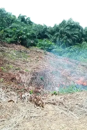 Land for Farm