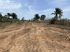 Aiyetoro(Beside) Lekki International Airport Land With C Of O