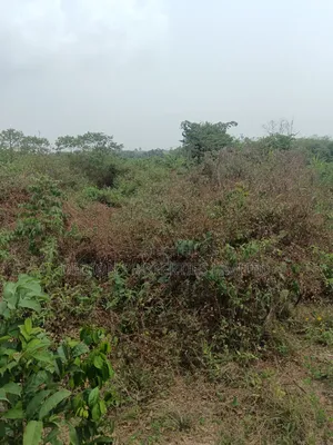 Awoyaya Land With Gazette, Deed Of Assignment And Registered Survey