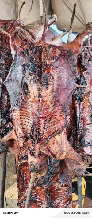 Dried Bush Meat