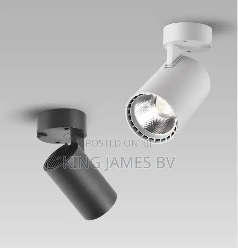 King James Single Track Light