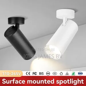 Long Bv Single Track Light