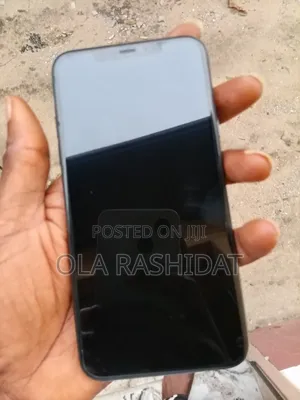 Apple iPhone 11 Pro Max 256 GB Gray