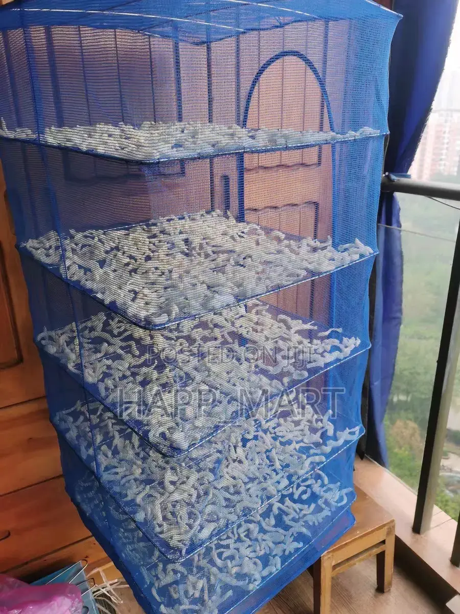 5layers Drying Net
