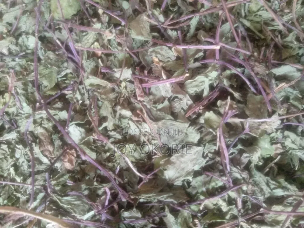 Peppermint -- 1kg